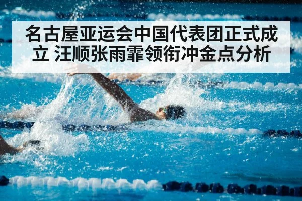 名古屋亚运会中国代表团正式成立 汪顺张雨霏领衔冲金点分析